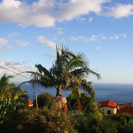 Lugar Dos Louros 2 Apartment Estreito Da Calheta Екстериор снимка
