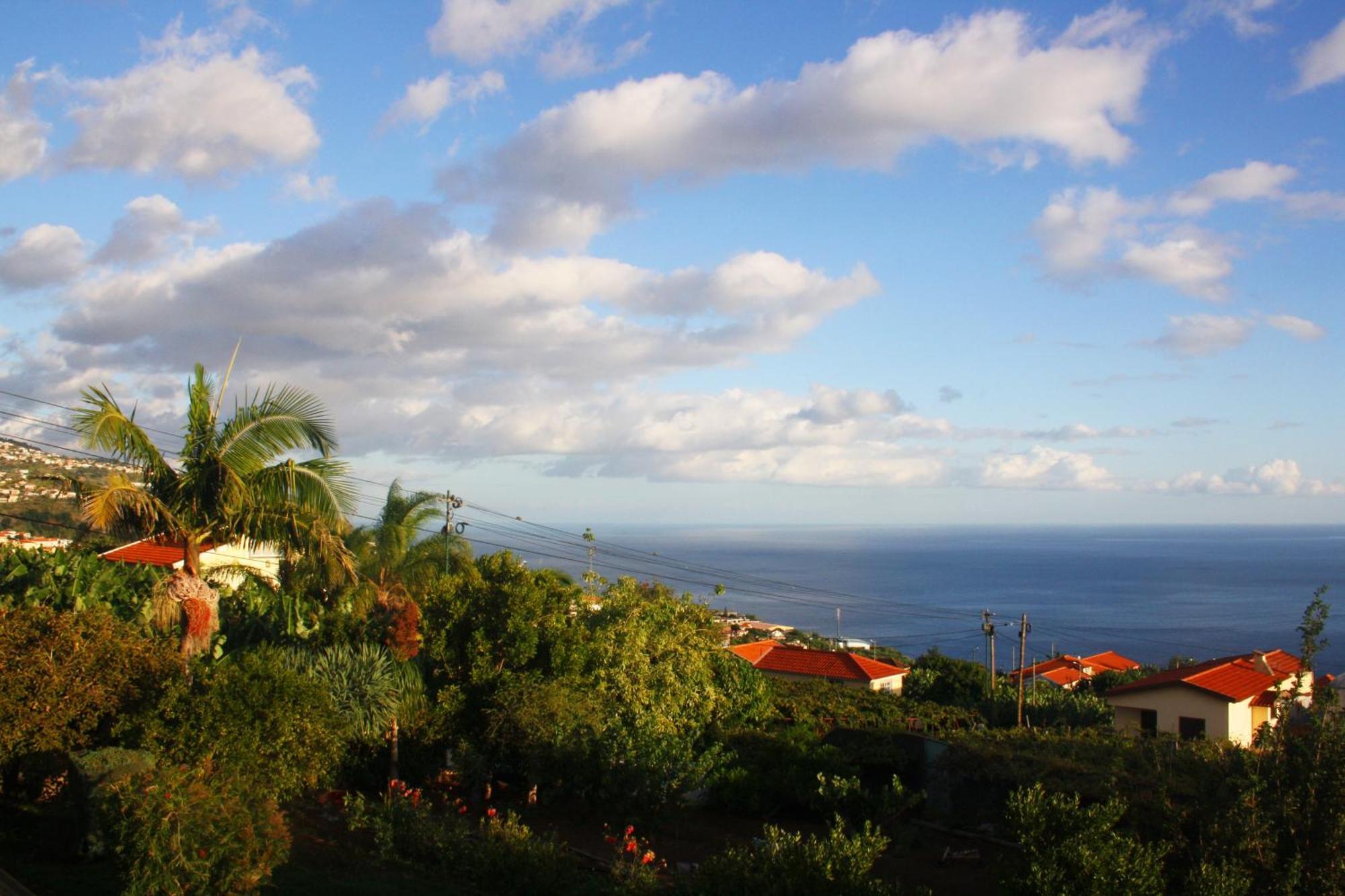 Lugar Dos Louros 2 Apartment Estreito Da Calheta Екстериор снимка